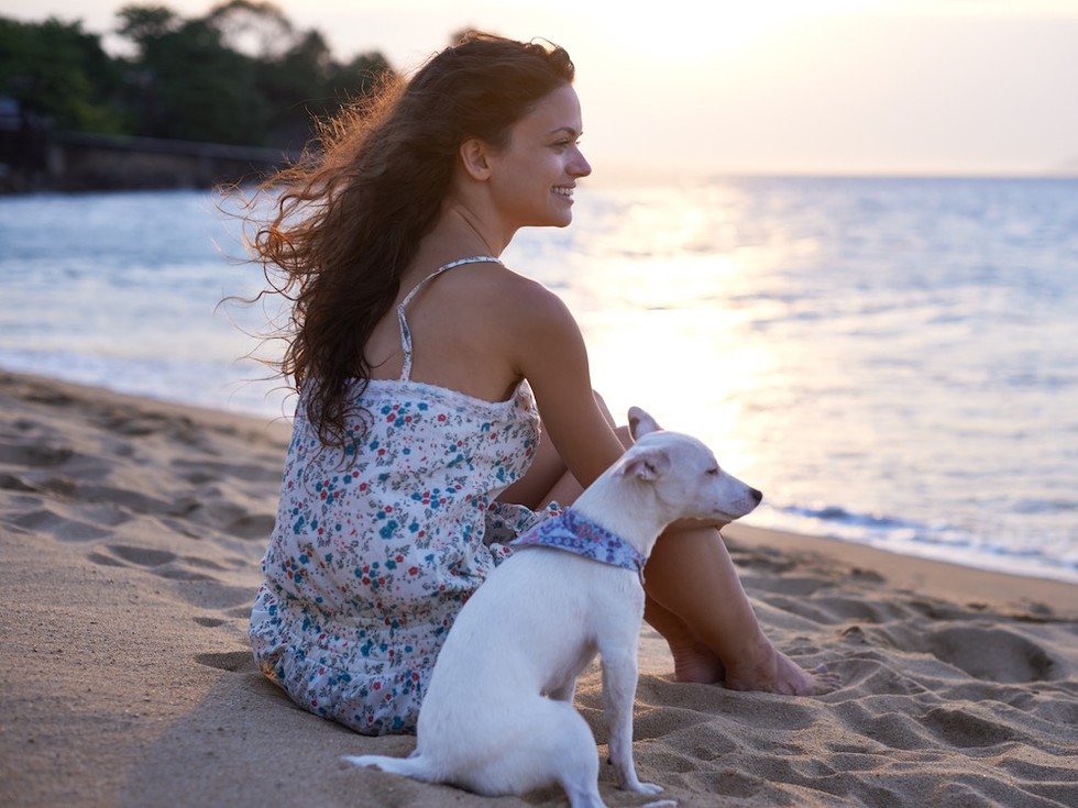 Sonnenuntergang mit Hund an einem floridianischen Strand (Foto © PeopleImages.com – Yuri A/Shutterstock.com)